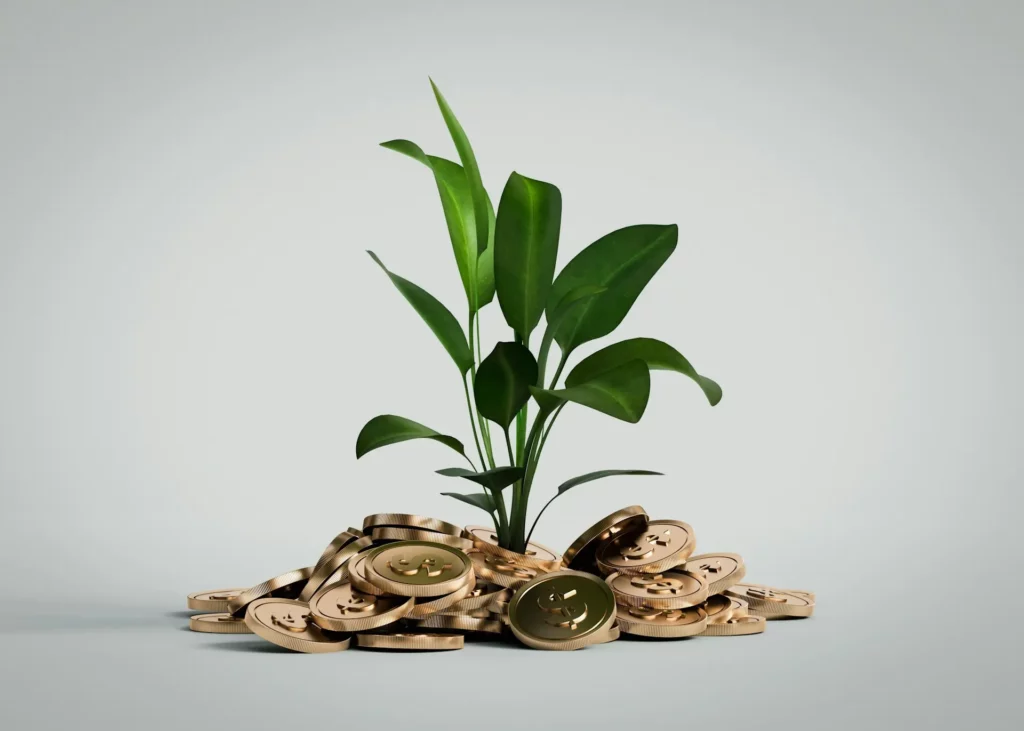 o seu site é um investimento ou uma despesa