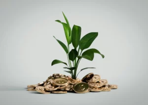 o seu site é um investimento ou uma despesa